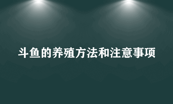 斗鱼的养殖方法和注意事项