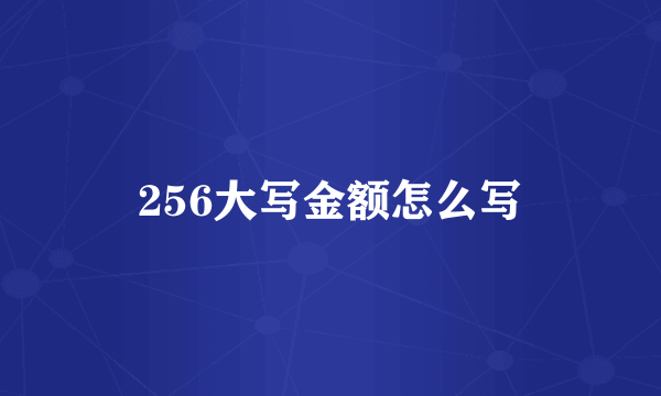 256大写金额怎么写