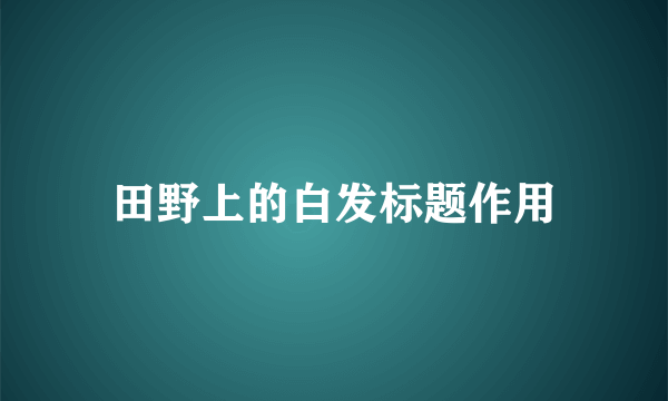 田野上的白发标题作用