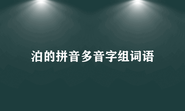 泊的拼音多音字组词语