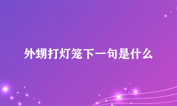 外甥打灯笼下一句是什么