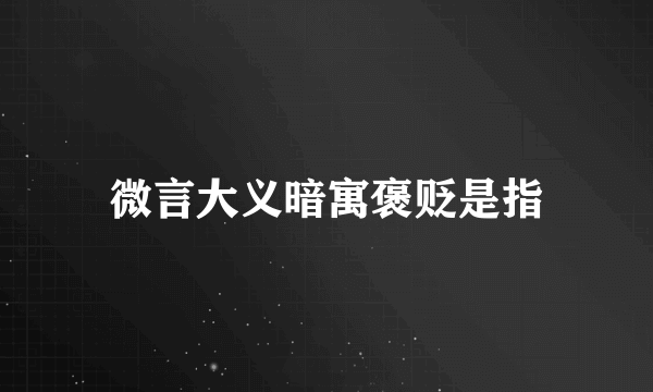 微言大义暗寓褒贬是指