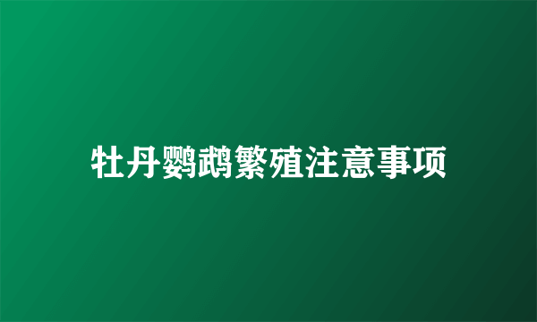 牡丹鹦鹉繁殖注意事项