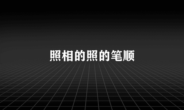 照相的照的笔顺