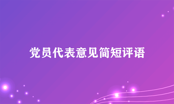 党员代表意见简短评语