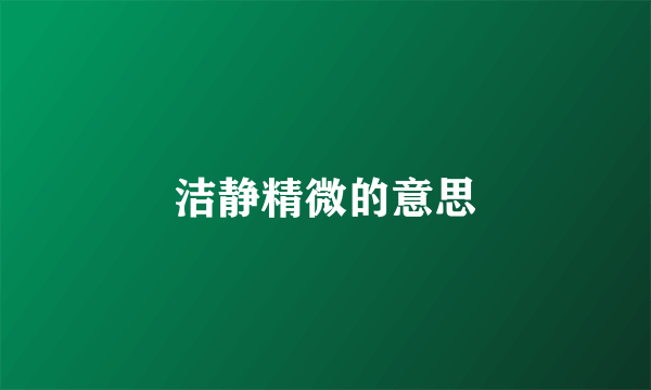 洁静精微的意思