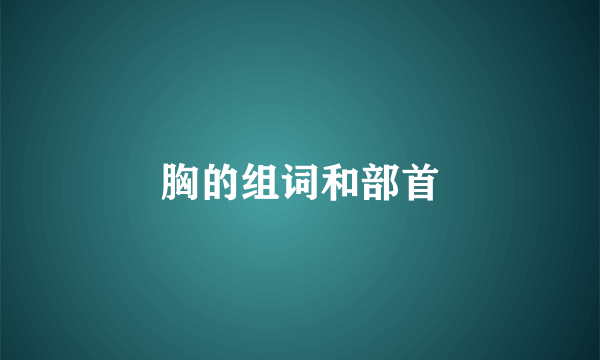胸的组词和部首