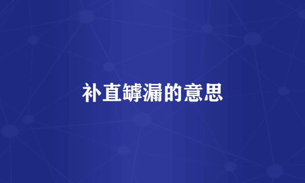 补直罅漏的意思