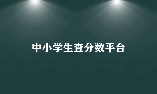 中小学生查分数平台