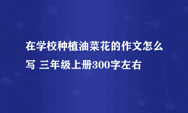 在学校种植油菜花的作文怎么写 三年级上册300字左右