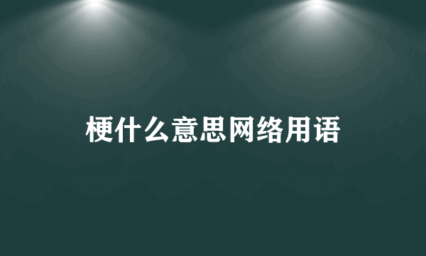 梗什么意思网络用语