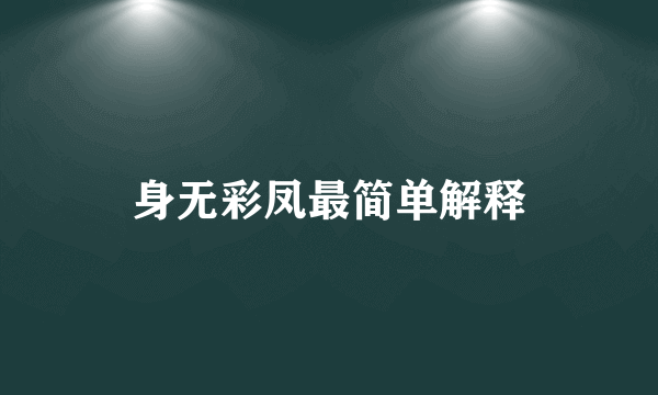 身无彩凤最简单解释