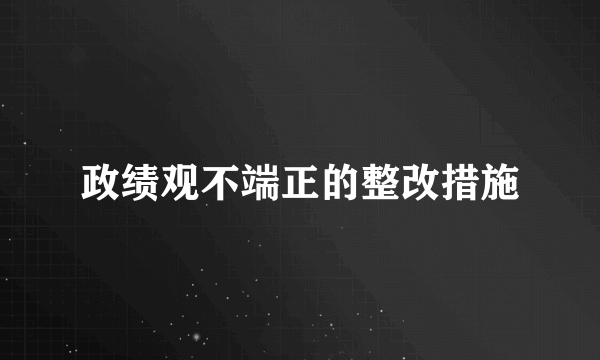政绩观不端正的整改措施