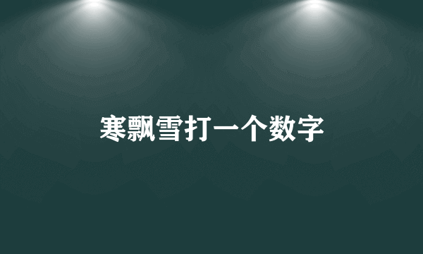 寒飘雪打一个数字