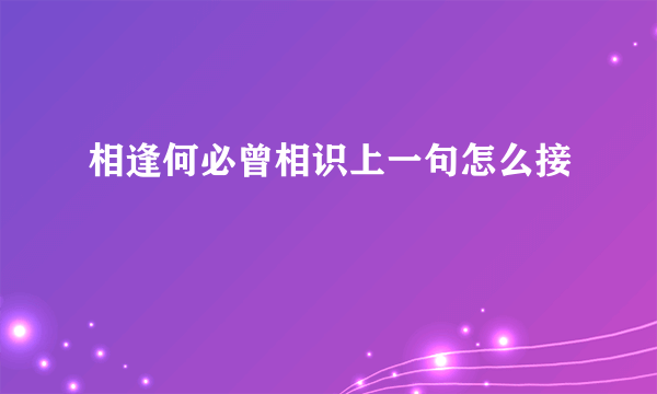 相逢何必曾相识上一句怎么接
