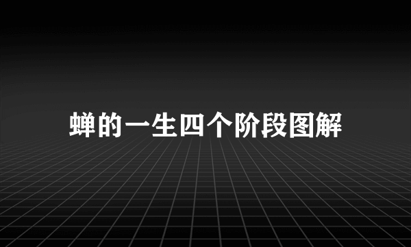 蝉的一生四个阶段图解