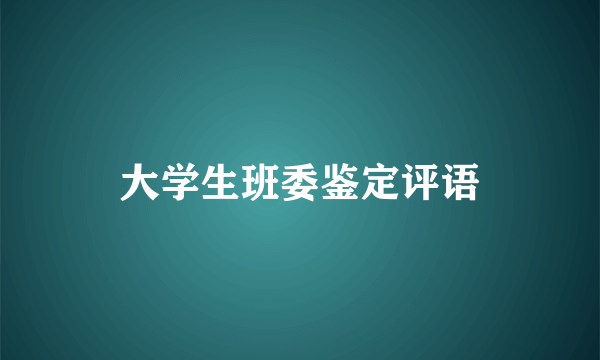 大学生班委鉴定评语