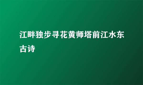 江畔独步寻花黄师塔前江水东古诗