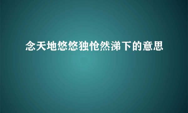 念天地悠悠独怆然涕下的意思