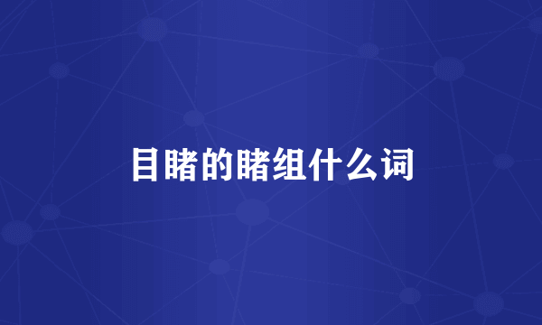 目睹的睹组什么词
