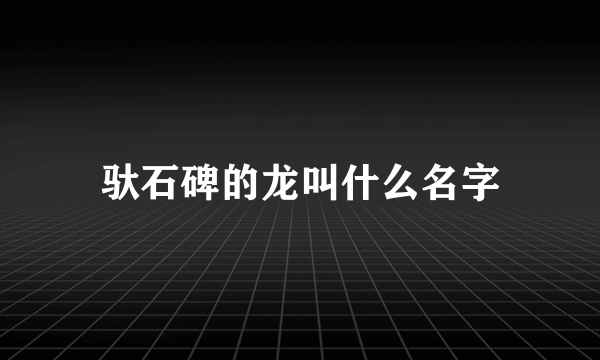 驮石碑的龙叫什么名字