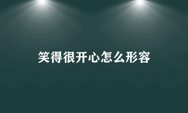 笑得很开心怎么形容