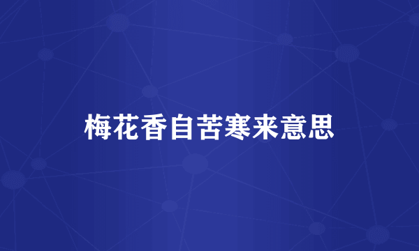 梅花香自苦寒来意思