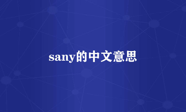 sany的中文意思