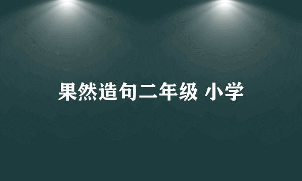 果然造句二年级 小学
