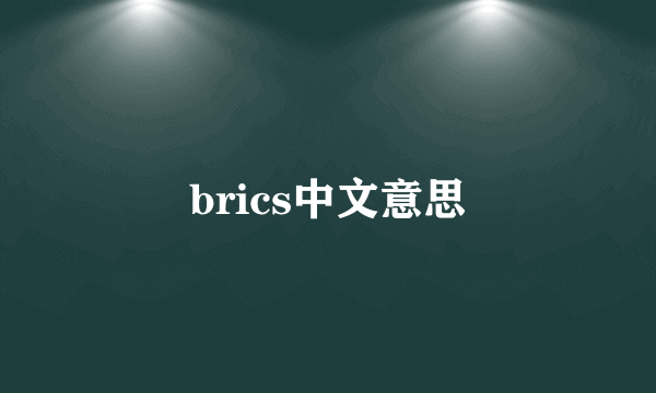 brics中文意思