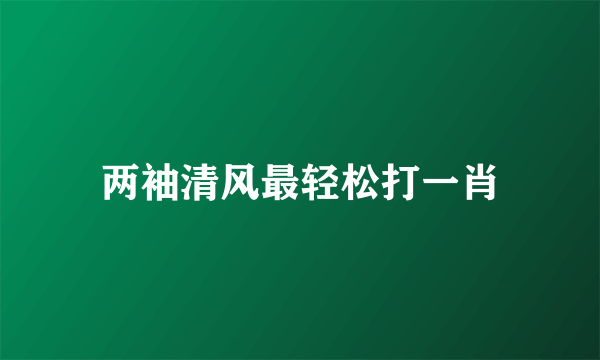 两袖清风最轻松打一肖