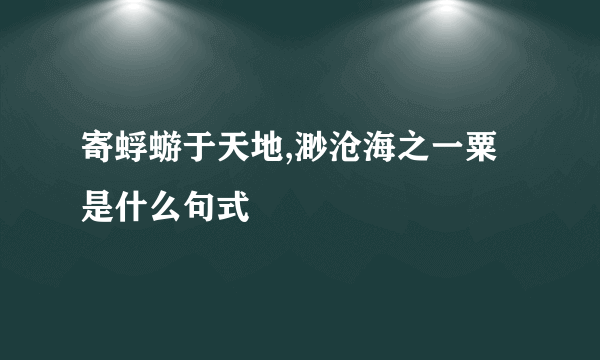 寄蜉蝣于天地,渺沧海之一粟是什么句式
