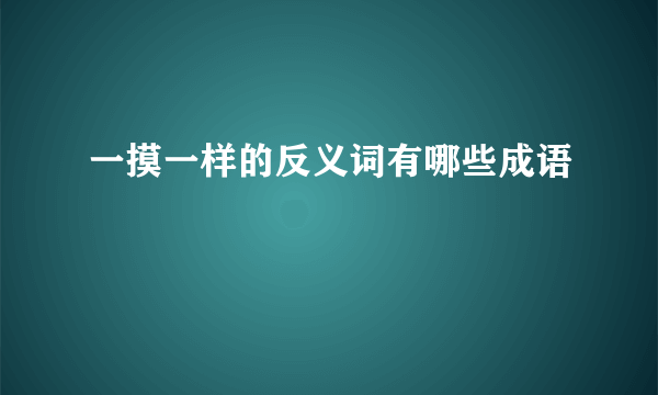 一摸一样的反义词有哪些成语