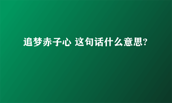 追梦赤子心 这句话什么意思?
