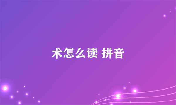 术怎么读 拼音