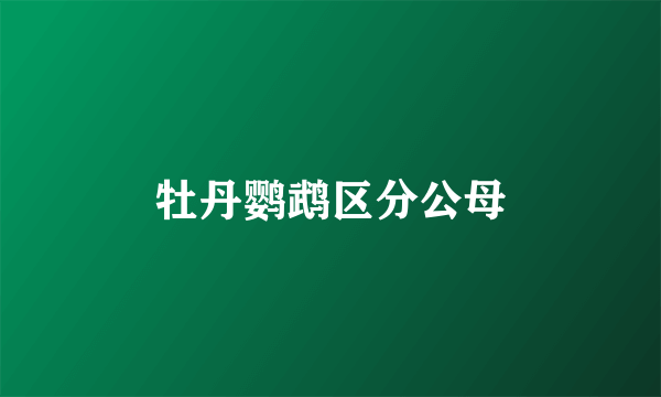 牡丹鹦鹉区分公母