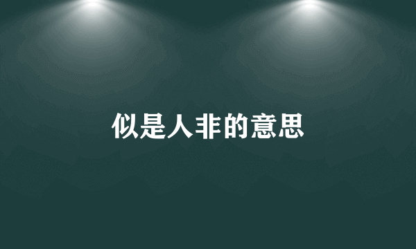 似是人非的意思