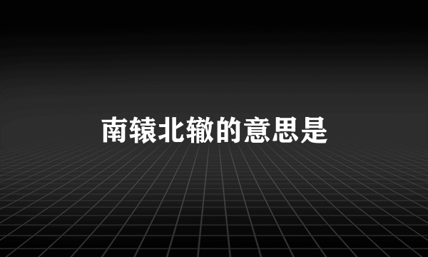 南辕北辙的意思是
