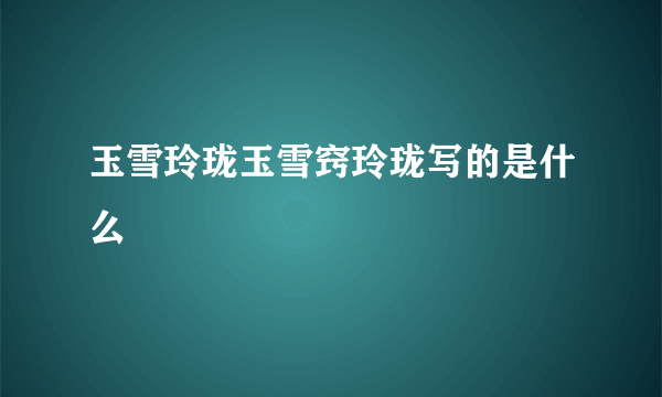 玉雪玲珑玉雪窍玲珑写的是什么