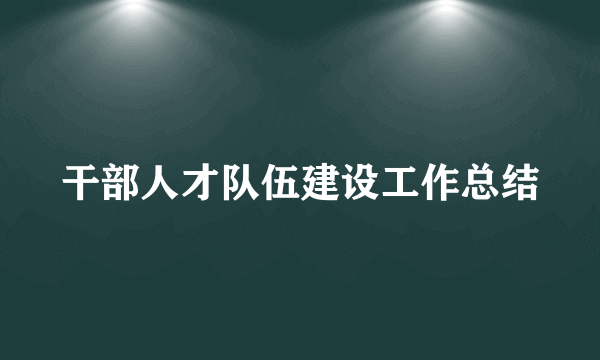干部人才队伍建设工作总结