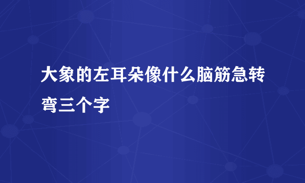 大象的左耳朵像什么脑筋急转弯三个字