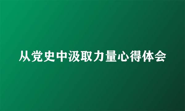 从党史中汲取力量心得体会