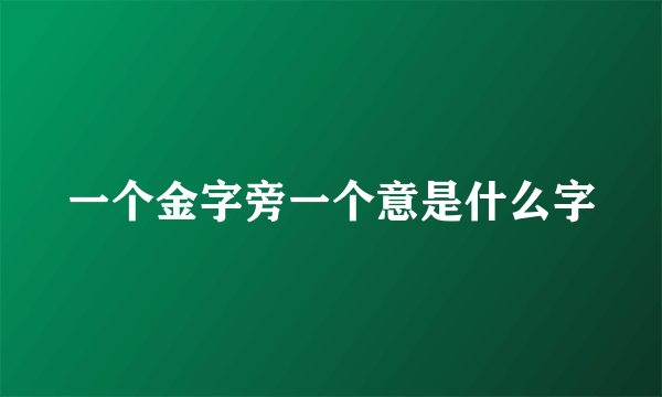 一个金字旁一个意是什么字