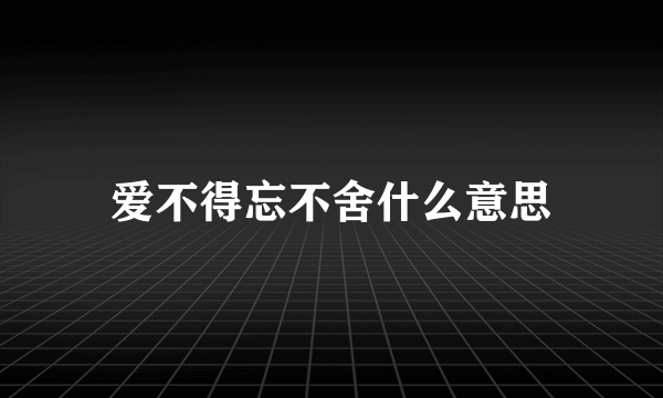 爱不得忘不舍什么意思