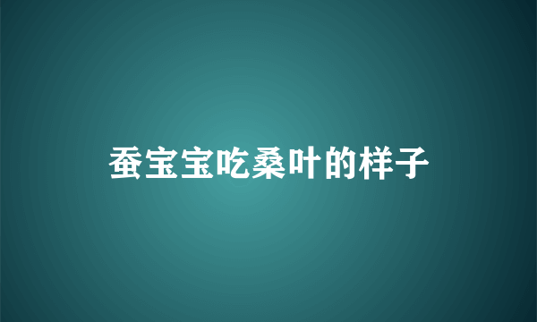 蚕宝宝吃桑叶的样子