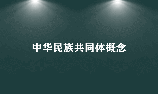 中华民族共同体概念