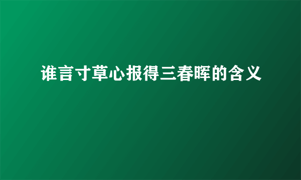 谁言寸草心报得三春晖的含义