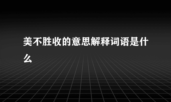 美不胜收的意思解释词语是什么
