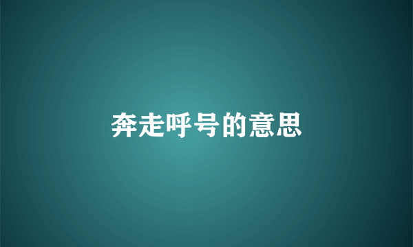 奔走呼号的意思