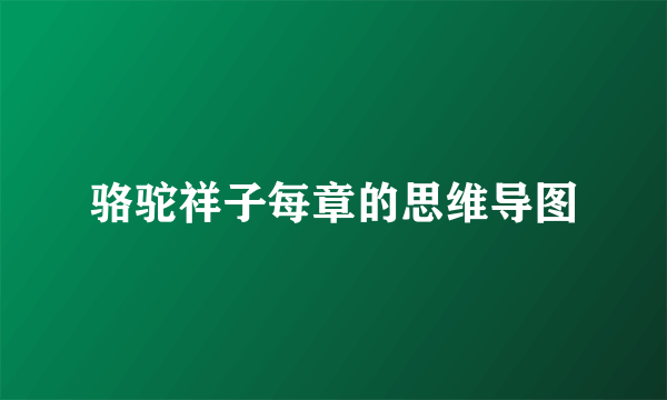 骆驼祥子每章的思维导图